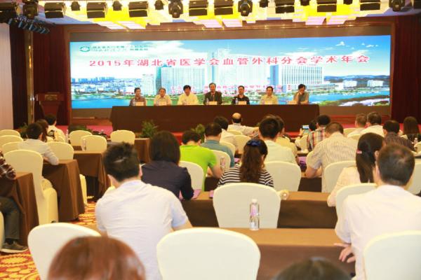 1 2015年湖北省医学会血管外科分会学术年会现场.jpg