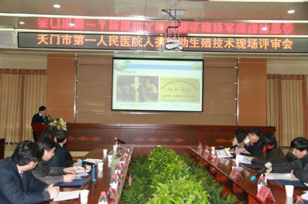 4王春秀副院长汇报生殖医学中心筹建工作概况.jpg