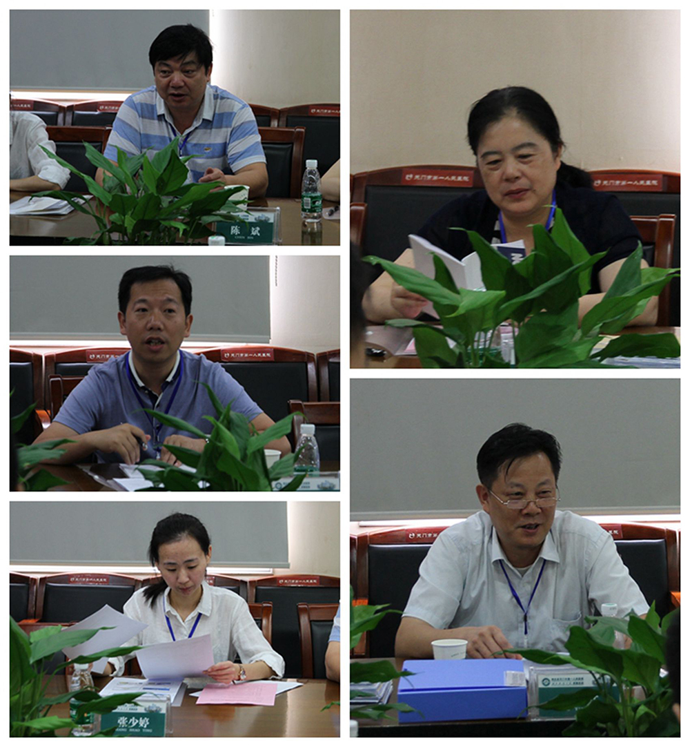 专家组会议发言.jpg
