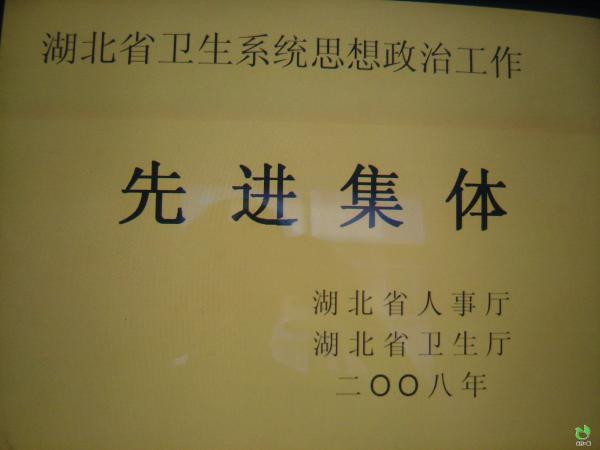 2008年度湖北省卫生系统思想政治工作先进集体