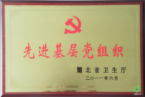 2011-6
