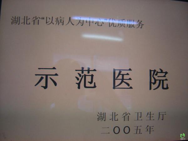 2005年湖北省优质服务示范医院