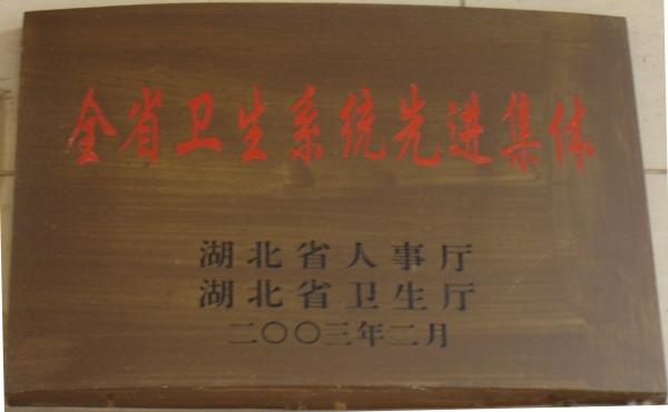 2003年度全省卫生系统先进集体