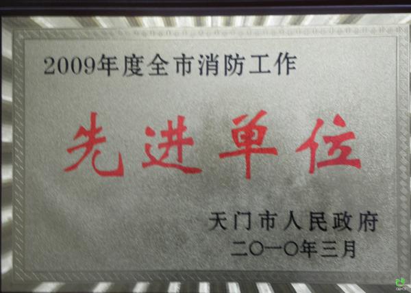 2009年度市消防工作先进单位