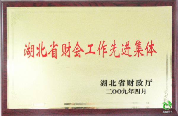 湖北省财会工作先进集体