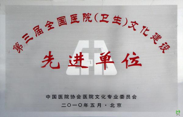 2010年5月全国文化先进单位文化建设先进单位奖牌