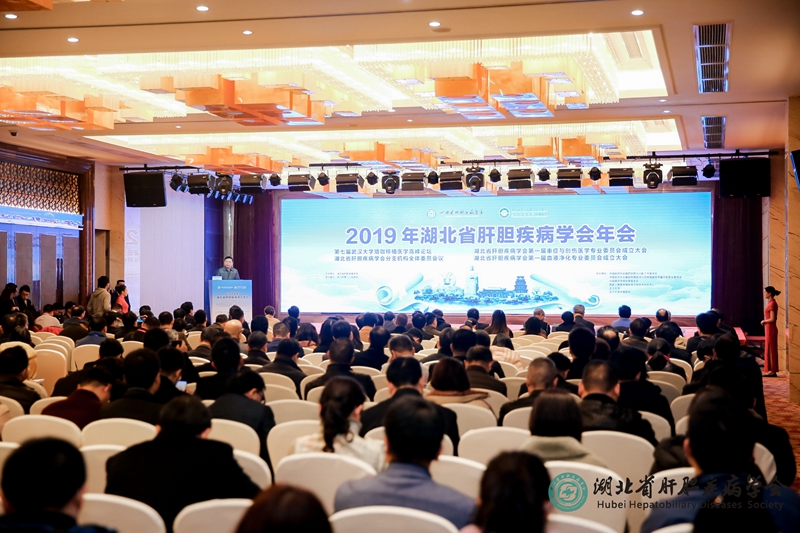 1年会会场_副本.jpg