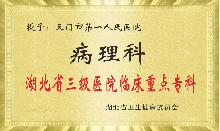 天门一医牵头开展天潜仙区域病理质控评片活动